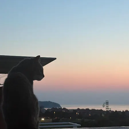 Apartment Sunny View *